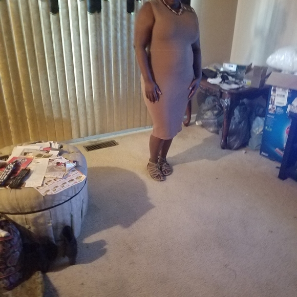 New York & Company Tan Sleeveless Dress w/Side Button Detail XL - Picture 12 of 16